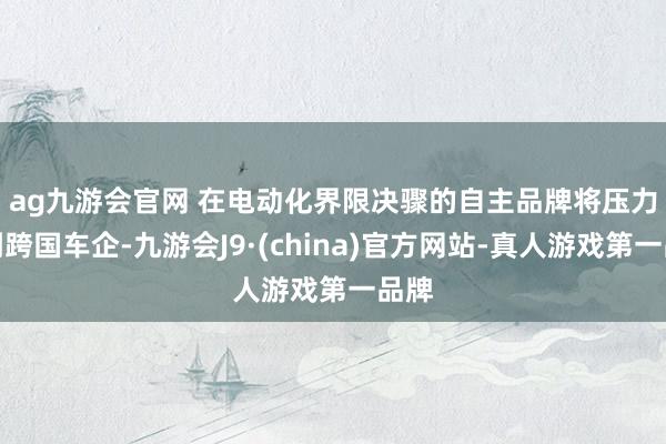 ag九游会官网 　　在电动化界限决骤的自主品牌将压力给到跨国车企-九游会J9·(china)官方网站-真人游戏第一品牌