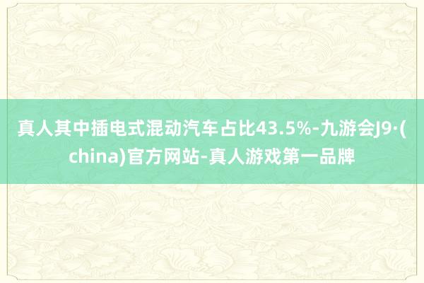 真人其中插电式混动汽车占比43.5%-九游会J9·(china)官方网站-真人游戏第一品牌