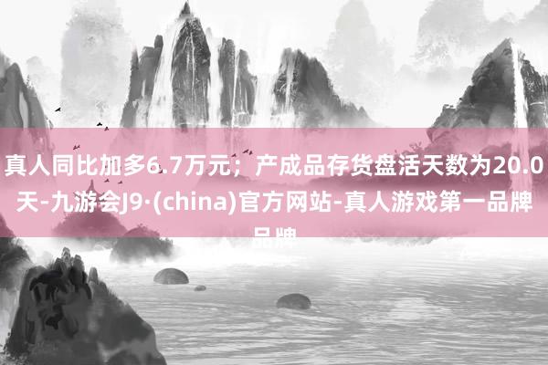 真人同比加多6.7万元；产成品存货盘活天数为20.0天-九游会J9·(china)官方网站-真人游戏第一品牌