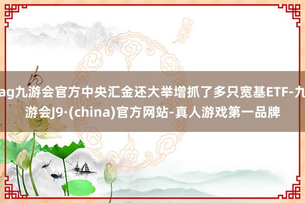 ag九游会官方中央汇金还大举增抓了多只宽基ETF-九游会J9·(china)官方网站-真人游戏第一品牌