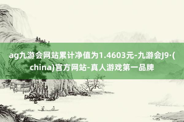 ag九游会网站累计净值为1.4603元-九游会J9·(china)官方网站-真人游戏第一品牌