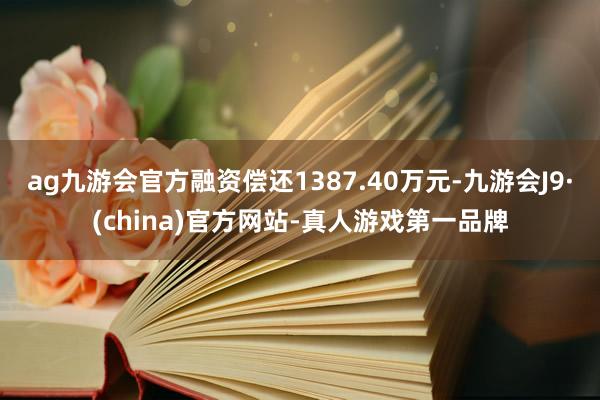 ag九游会官方融资偿还1387.40万元-九游会J9·(china)官方网站-真人游戏第一品牌